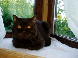 Kajan von der Stauferh&ouml;he